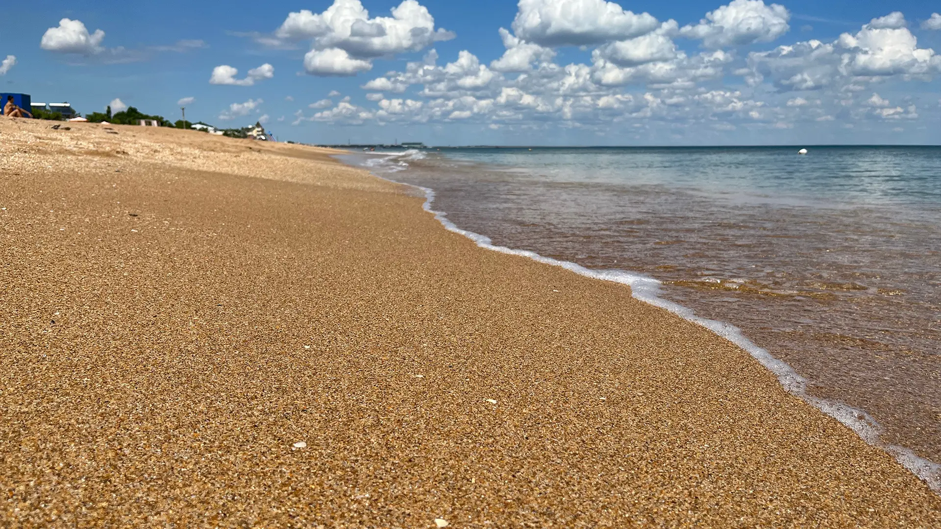 Сасыкские Земли 1, участок № 1, 1 Га